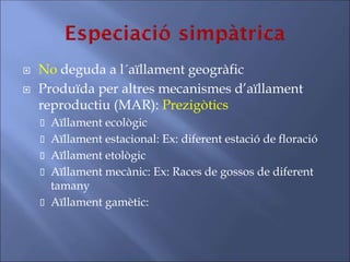  No deguda a l´aïllament geogràfic
 Produïda per altres mecanismes d’aïllament
reproductiu (MAR): Prezigòtics
 Aïllament ecològic
 Aïllament estacional: Ex: diferent estació de floració
 Aïllament etològic
 Aïllament mecànic: Ex: Races de gossos de diferent
tamany
 Aïllament gamètic:
 