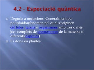  Deguda a mutacions. Generalment per
poliploidia(fenomen pel qual s'originen
cèl·lules, teixits o organismes amb tres o més
jocs complets de cromosomes de la mateixa o
diferents espècies)
 Es dona en plantes
 
