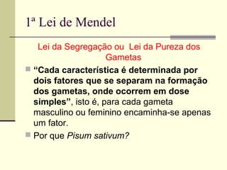 1ª Lei de Mendel
Lei da Segregação ou Lei da Pureza dos
Gametas
 “Cada característica é determinada por
dois fatores que se separam na formação
dos gametas, onde ocorrem em dose
simples”, isto é, para cada gameta
masculino ou feminino encaminha-se apenas
um fator.
 Por que Pisum sativum?
 