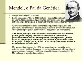 Mendel, o Pai da Genética
 Gregor Mendel (1822-18884)
 Entre os anos de 1851 e 1853 estuda História Natural na Universidade
de Viena. Neste curso, adquiri muitos conhecimentos que seriam de
extrema importância para o desenvolvimento de suas teorias (leis).
Aproveitou também os conhecimentos adquiridos do pai, que era
jardineiro, para começar a fazer pesquisas com árvores frutíferas. Em
1856 já fazia pesquisas com ervilhas, nos jardins do monastério.
Sua teoria principal era a de que as características das plantas
(cores, por exemplo) deviam-se a elementos hereditários
(atualmente conhecidos como genes). Como passava grande
parte do tempo dedicando-se às atividades administrativas do
monastério, foi deixando de lado suas pesquisas relacionadas ao
estudo da hereditariedade.
Morreu em 6 de janeiro de 1884 sem que tivesse, em vida, seus
estudos reconhecidos. Somente no começo do século XX que alguns
pesquisadores puderam verificar a importância das descobertas de
Mendel para o mundo da genética.
 