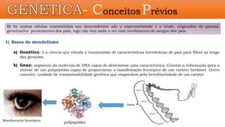 GENÉTICA- Conceitos Prévios
1) Bases do mendelismo
a) Genética: é a ciência que estuda a transmissão de características hereditárias de pais para filhos ao longo
das gerações.
b) Gene: segmento da molécula de DNA capaz de determinar uma característica. Contém a informação para a
síntese de um polipeptídio capaz de proporcionar a manifestação fenotípica de um caráter herdável. Outro
conceito, unidade de transmissibilidade genética que respondem pela hereditariedade de um caráter
polipeptídeo
0) As únicas células transmitidas aos descendentes são o espermatozoide e o óvulo, originados do plasma
germinativo provenientes dos pais, logo não tem nada a ver com recebimento de sangue dos pais.
Manifestação fenotípica
 