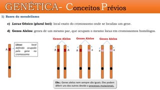 GENÉTICA- Conceitos Prévios
1) Bases do mendelismo
c) Locus Gênico (plural loci): local exato do cromossomo onde se localiza um gene.
d) Genes Alelos: genes de um mesmo par, que ocupam o mesmo locus em cromossomos homólogos.
Lócus: local
definido ocupado
pelo gene no
cromossomo
A A a
A A a a
Obs.: Genes alelos nem sempre são iguais. Eles podem
diferir uns dos outros devido a processos mutacionais.
Genes Alelos Genes Alelos Genes Alelos
 