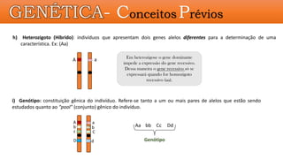 GENÉTICA- Conceitos Prévios
h) Heterozigoto (Híbrido): indivíduos que apresentam dois genes alelos diferentes para a determinação de uma
característica. Ex: (Aa)
i) Genótipo: constituição gênica do indivíduo. Refere-se tanto a um ou mais pares de alelos que estão sendo
estudados quanto ao “pool” (conjunto) gênico do indivíduo.
A a
A
Em heterozigose o gene dominante
impede a expressão do gene recessivo.
Dessa maneira o gene recessivo só se
expressará quando for homozigoto
recessivo (aa).
b
c
D
a
b
C
d
Aa bb Cc Dd
Genótipo
 