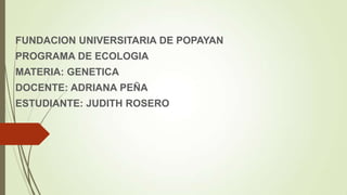 FUNDACION UNIVERSITARIA DE POPAYAN
PROGRAMA DE ECOLOGIA
MATERIA: GENETICA
DOCENTE: ADRIANA PEÑA
ESTUDIANTE: JUDITH ROSERO
 