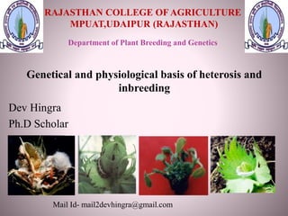 Genetical and physiological basis of heterosis and
inbreeding
Dev Hingra
Ph.D Scholar
Mail Id- mail2devhingra@gmail.com
Department of Plant Breeding and Genetics
RAJASTHAN COLLEGE OFAGRICULTURE
MPUAT,UDAIPUR (RAJASTHAN)
 