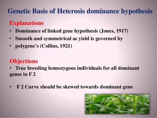 Genetical And Physiological Basis Of Heterosis And Inbreeding