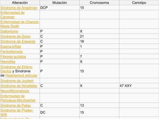 Alteración             Mutación        Cromosoma            Cariotipo
Síndrome de Angelman     DCP              15
Enfermedad de
Canavan
Enfermedad de Charcot-
Marie-Tooth
Daltonismo               P                X
Síndrome de Down         C                21
Síndrome de Edwards      C                18
Espina bífida            P                1
Fenilcetonuria           P
Fibrosis quística        P                7
Hemofilia                P                X
Síndrome de Ehlers-
Danlos y Síndrome         P               15
de Hiperlaxitud articular
Síndrome de Joubert
Síndrome de Klinefelter C                 X                47 XXY
Neurofibromatosis
Enfermedad de
Pelizaeus-Merzbacher
Síndrome de Patau       C                 13
Síndrome de Prader-
                        DC                15
Willi
 