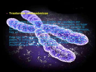    Trastornos cromosómicos


    Los defectos de nacimiento pueden ser causados por
    errores en la totalidad o parte de un cromosoma, en lugar
    de en un solo gen. Estos errores se producen durante la
    formación del óvulo o del espermatozoide. Ocasionalmente,
    hay un cromosoma adicional o falta alguno o está roto.
    Este tipo de problema puede proceder de la madre o del
    padre. El consiguiente desequilibrio del material genético
    proporciona al óvulo fertilizado una cantidad excesiva o
    insuficiente de información genética.
 