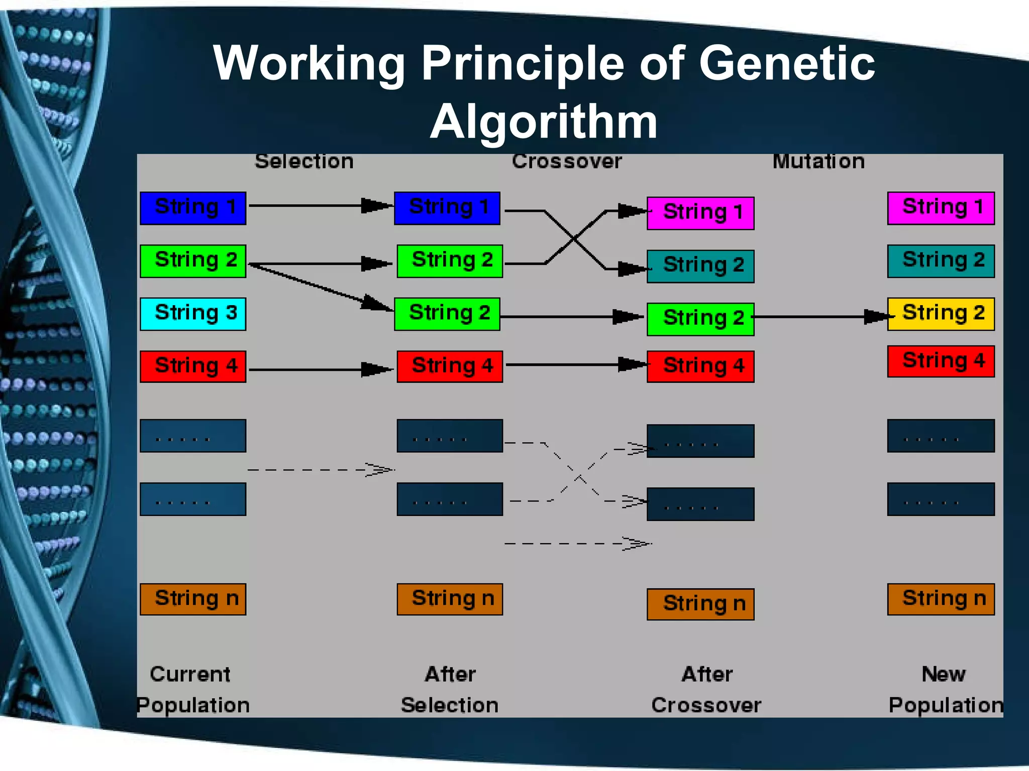Working Principle of Genetic Algorithm 
