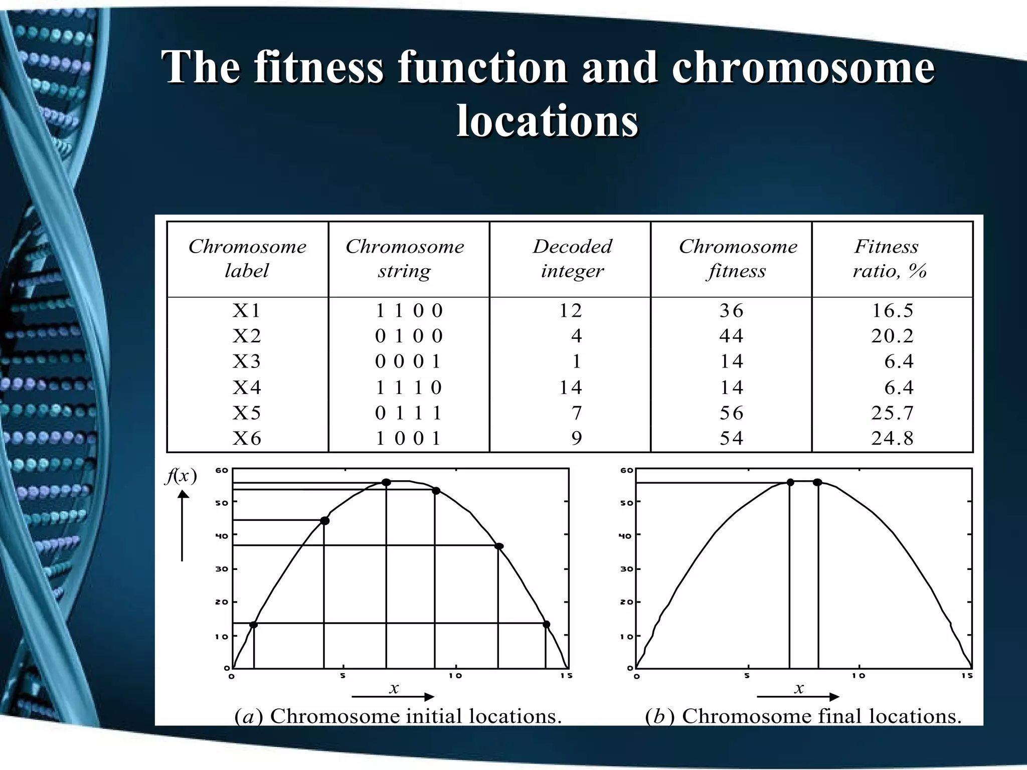 The fitness function and chromosome locations 