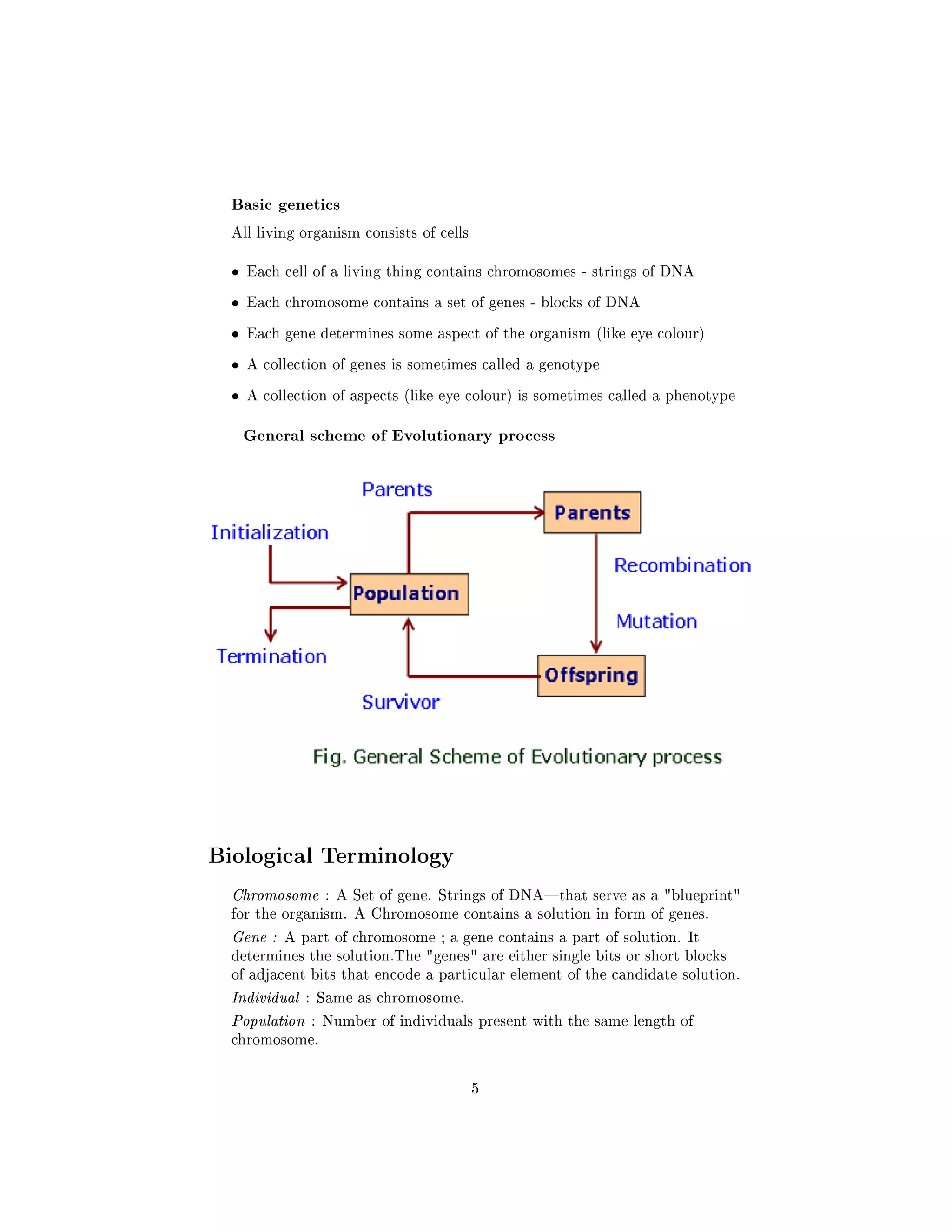 Basic genetics
All living organism consists of cells
• Each cell of a living thing contains chromosomes - strings of DNA
• Each chromosome contains a set of genes - blocks of DNA
• Each gene determines some aspect of the organism (like eye colour)
• A collection of genes is sometimes called a genotype
• A collection of aspects (like eye colour) is sometimes called a phenotype
General scheme of Evolutionary process
Biological Terminology
Chromosome : A Set of gene. Strings of DNAthat serve as a blueprint
for the organism. A Chromosome contains a solution in form of genes.
Gene : A part of chromosome ; a gene contains a part of solution. It
determines the solution.The genes are either single bits or short blocks
of adjacent bits that encode a particular element of the candidate solution.
Individual : Same as chromosome.
Population : Number of individuals present with the same length of
chromosome.
5
 