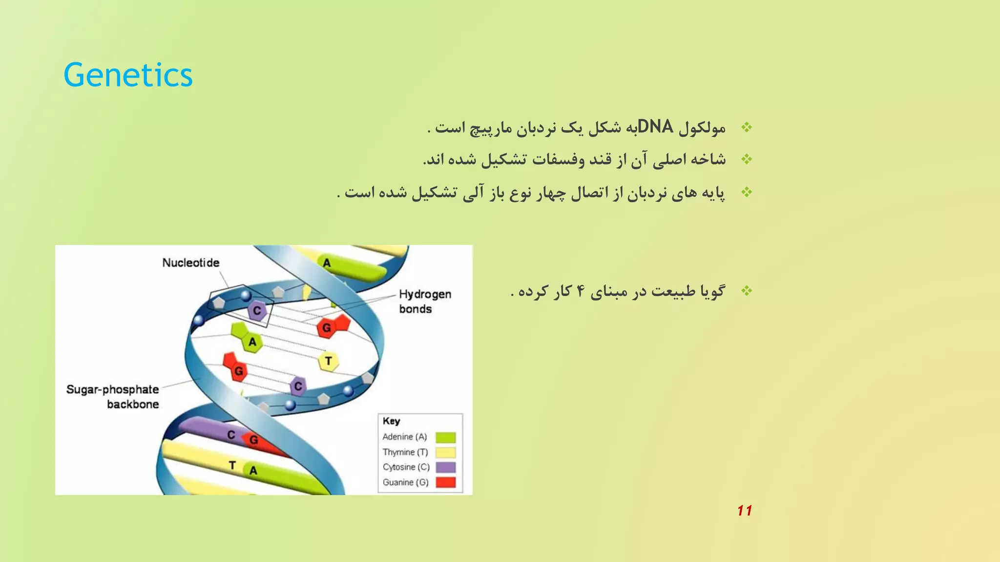 Genetic algorithm | PPT