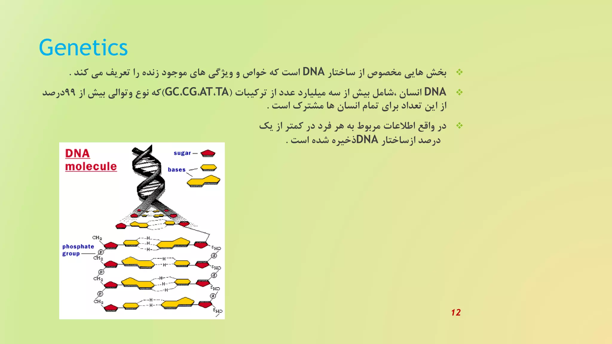 Genetics
‫ساختار‬ ‫از‬ ‫مخصوص‬ ‫هایی‬ ‫بخش‬DNA‫کند‬ ‫می‬ ‫تعریف‬ ‫را‬ ‫زنده‬ ‫موجود‬ ‫های‬ ‫ویژگی‬ ‫و‬ ‫خواص‬ ‫که‬ ‫است‬.
DNA‫ترکیبات‬ ‫از‬ ‫عدد‬ ‫میلیارد‬ ‫سه‬ ‫از‬ ‫بیش‬ ‫،شامل‬ ‫انسان‬(TA،AT،CG،GC)‫از‬ ‫بیش‬ ‫وتوالی‬ ‫نوع‬ ‫که‬99‫درصد‬
‫است‬ ‫مشترک‬ ‫ها‬ ‫انسان‬ ‫تمام‬ ‫برای‬ ‫تعداد‬ ‫این‬ ‫از‬.
‫یک‬ ‫از‬ ‫کمتر‬ ‫در‬ ‫فرد‬ ‫هر‬ ‫به‬ ‫مربوط‬ ‫اطلعات‬ ‫واقع‬ ‫در‬
‫ازساختار‬ ‫درصد‬DNA‫است‬ ‫شده‬ ‫ذخیره‬.
12
 