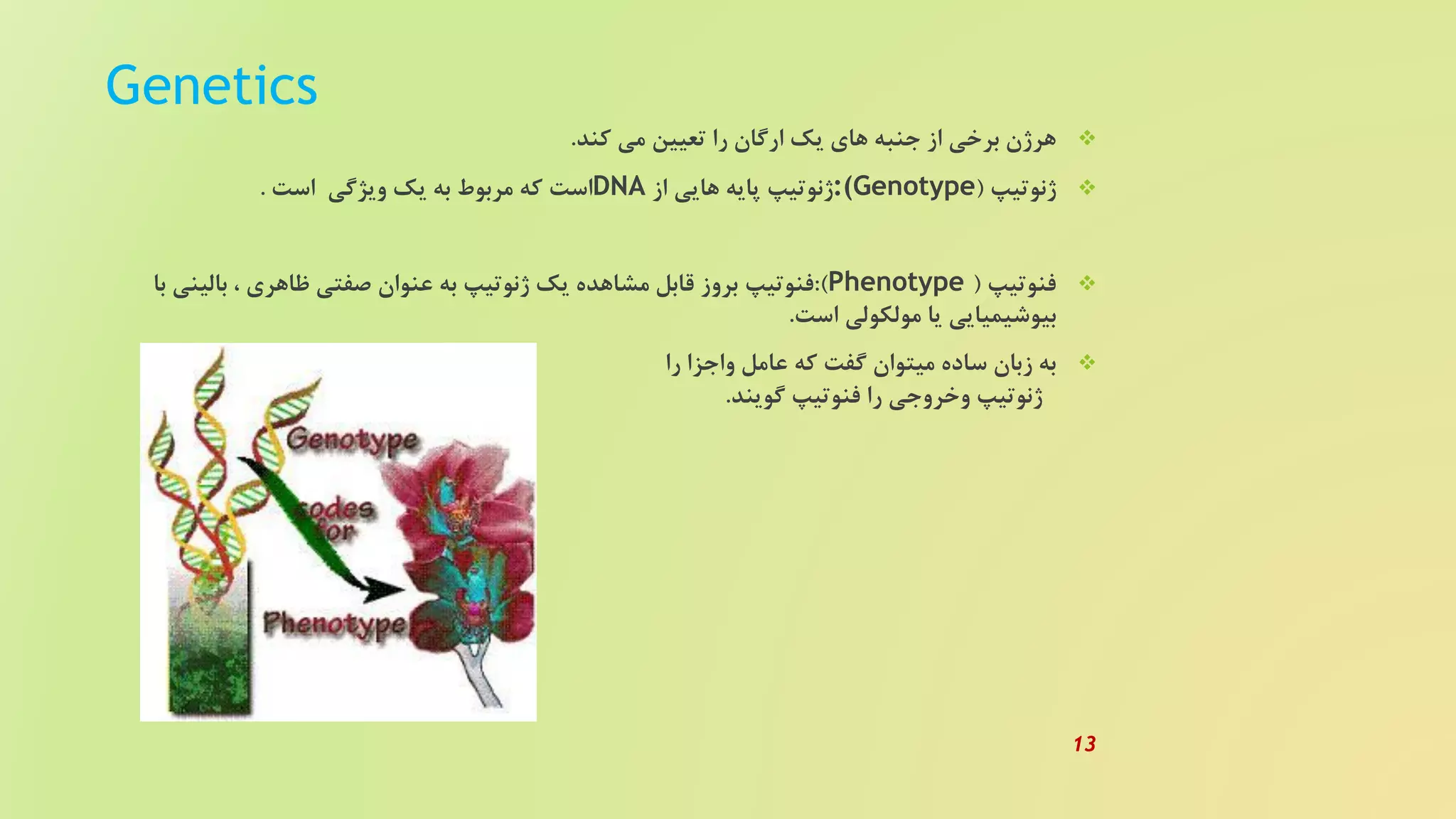Genetics
‫کند‬ ‫می‬ ‫تعیین‬ ‫را‬ ‫ارگان‬ ‫یک‬ ‫های‬ ‫جنبه‬ ‫از‬ ‫برخی‬ ‫هرژن‬.
‫ژنوتیپ‬(:(Genotype‫از‬ ‫هایی‬ ‫پایه‬ ‫ژنوتیپ‬DNA‫است‬ ‫ویژگی‬ ‫یک‬ ‫به‬ ‫مربوط‬ ‫که‬ ‫است‬.
‫فنوتیپ‬(Phenotype:)‫فنوتیپ‬‫ب‬ ‫بالینی‬ ، ‫ظاهری‬ ‫صفتی‬ ‫عنوان‬ ‫به‬ ‫ژنوتیپ‬ ‫یک‬ ‫مشاهده‬ ‫قابل‬ ‫بروز‬‫ا‬
‫است‬ ‫مولکولی‬ ‫یا‬ ‫بیوشیمیایی‬.
‫را‬ ‫واجزا‬ ‫عامل‬ ‫که‬ ‫گفت‬ ‫میتوان‬ ‫ساده‬ ‫زبان‬ ‫به‬
‫گویند‬ ‫فنوتیپ‬ ‫را‬ ‫وخروجی‬ ‫ژنوتیپ‬.
13
 