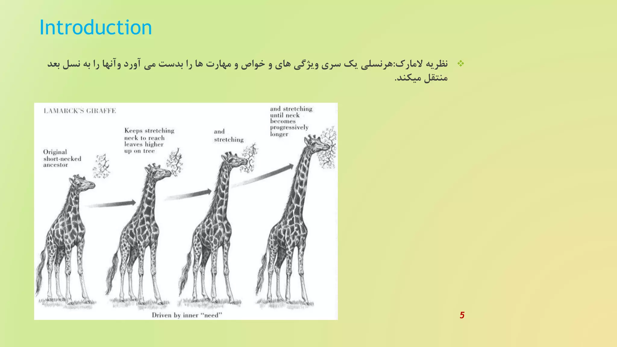 Introduction
‫المارک‬ ‫نظریه‬:‫بعد‬ ‫نسل‬ ‫به‬ ‫را‬ ‫وآنها‬ ‫آورد‬ ‫می‬ ‫بدست‬ ‫را‬ ‫ها‬ ‫مهارت‬ ‫و‬ ‫خواص‬ ‫و‬ ‫های‬ ‫ویژگی‬ ‫سری‬ ‫یک‬ ‫هرنسلی‬
‫میکند‬ ‫منتقل‬.
5
 