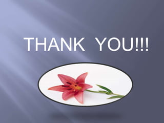 THANK YOU!!!
 