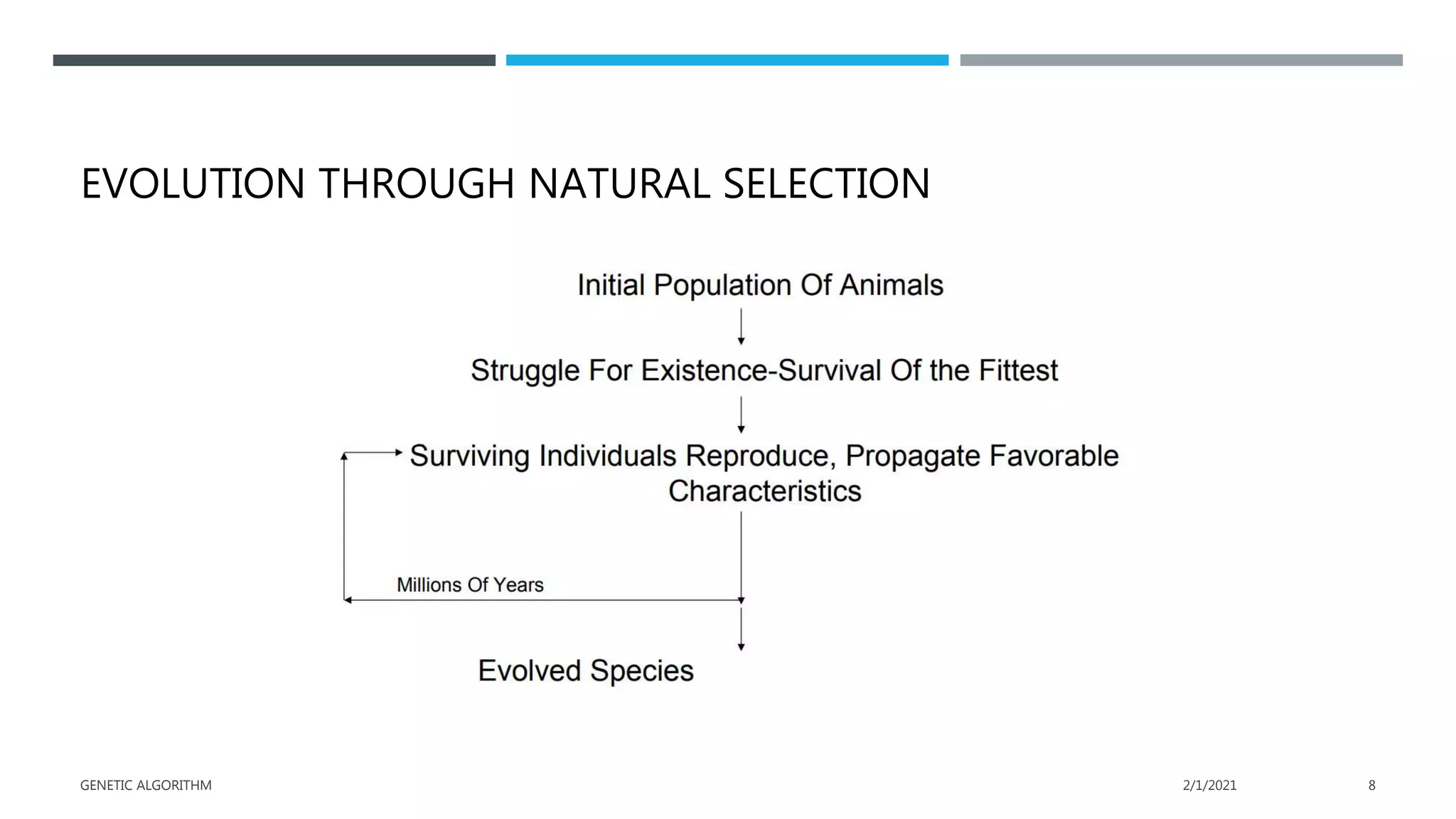 EVOLUTION THROUGH NATURAL SELECTION
2/1/2021
GENETIC ALGORITHM 8
 