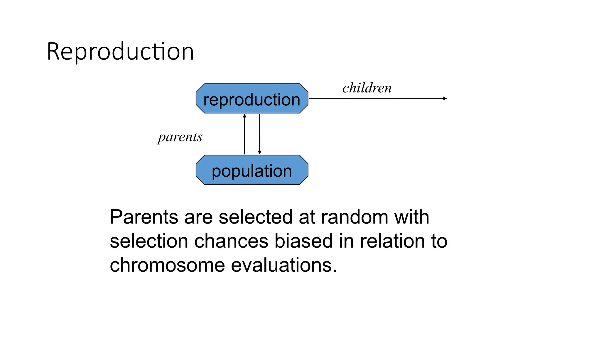 Reproduction
reproduction
population
parents
children
Parents are selected at random with
selection chances biased in relation to
chromosome evaluations.
 