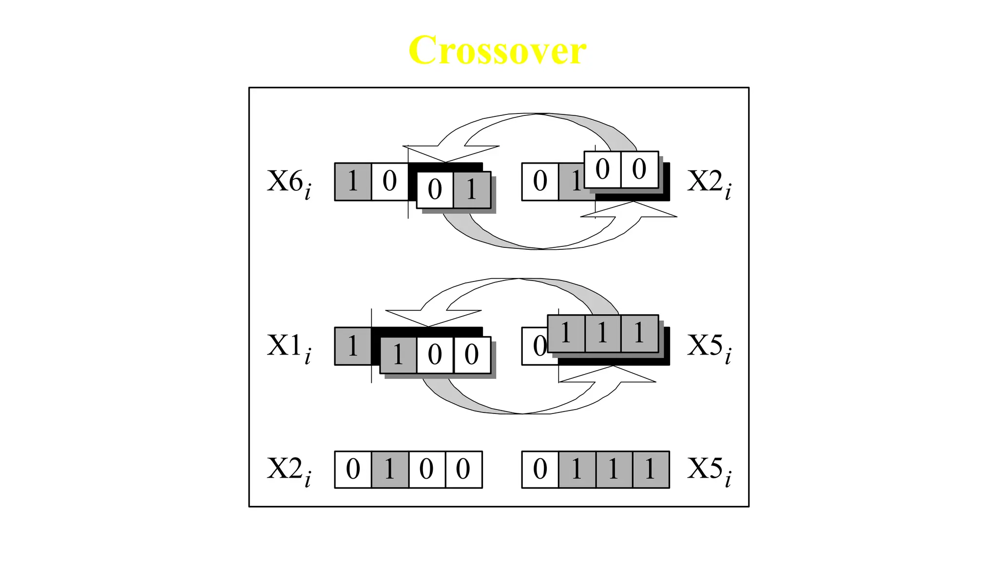 Crossover
X6i 1 0
0 0 0
1 0 X2i
0 0
1 0
X2i 0 1
1 1 X5i
0
X1i 0 1
1 1 X5i
1 0
1 0
0 1
0 0
1
1 1
0
1 0
 