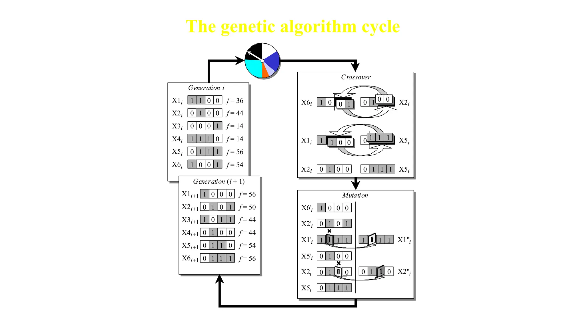 The genetic algorithm cycle
1 0
1 0
X1i
Generation i
0 0
1 0
X2i
0 0
0 1
X3i
1 1
1 0
X4i
0 1
1 1
X5i f = 56
1 0
0 1
X6i f = 54
f = 36
f = 44
f = 14
f = 14
1 0
0 0
X1i+1
Generation (i + 1)
0 0
1 1
X2i+1
1 1
0 1
X3i+1
0 0
1 0
X4i+1
0 1
1 0
X5i+1 f = 54
0 1
1 1
X6i+1 f = 56
f = 56
f = 50
f = 44
f = 44
Crossover
X6i 1 0
0 0 0
1 0 X2i
0 0
1 0
X2i 0 1
1 1 X5i
0
X1i 0 1
1 1 X5i
1 0
1 0
0 1
0 0
1
1 1
0
1 0
Mutation
0 1
1 1
X5'i 0
1 0
X6'i 1 0
0
0 0
1 0
X2'i 0 1
0 0
0 1 1
1
1
X5i
1 1 1 X1"i
1 1
X2"i
0 1 0
0
X1'i 1 1 1
0 1 0
X2i
 
