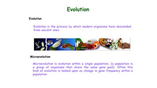 Evolution
Evolution
Evolution is the process by which modern organisms have descended
from ancient ones
Microevolution
Microevolution is evolution within a single population; (a population is
a group of organisms that share the same gene pool). Often this
kind of evolution is looked upon as change in gene frequency within a
population
 
