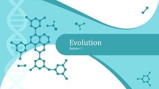 Evolution
Section 1
 