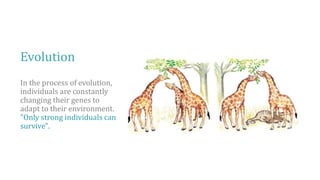 Evolution
In the process of evolution,
individuals are constantly
changing their genes to
adapt to their environment.
"Only strong individuals can
survive".
 