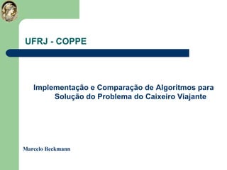 UFRJ - COPPE ,[object Object],Marcelo Beckmann 