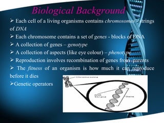Biological Background Each cell of a living organisms contains  chromosomes  - strings of  DNA Each chromosome contains a set of  genes  - blocks of DNA A collection of genes –  genotype A collection of aspects (like eye colour) –  phenotype Reproduction involves recombination of genes from  parents The  fitness  of an organism is how much it can reproduce before it dies Genetic operators Biological Background 