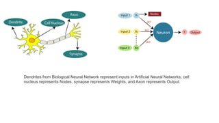 Dendrites from Biological Neural Network represent inputs in Artificial Neural Networks, cell
nucleus represents Nodes, synapse represents Weights, and Axon represents Output.
 