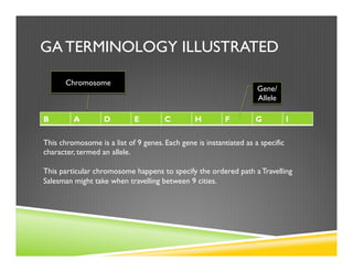 GA TERMINOLOGY ILLUSTRATED
B A D E C H F G I
Gene/
Allele
Chromosome
This chromosome is a list of 9 genes. Each gene is instantiated as a specific
character, termed an allele.
This particular chromosome happens to specify the ordered path a Travelling
Salesman might take when travelling between 9 cities.
 