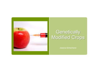 Genetically
Modified Crops
   Jessica Schacherer
 