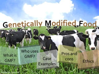 Genetically Modified Food


          Who uses
                             Pros and
  What is  GMF?     Case       cons
  GMF?                                  Ethics
                  Examples
                                            2
Photo: Igor Spanholi