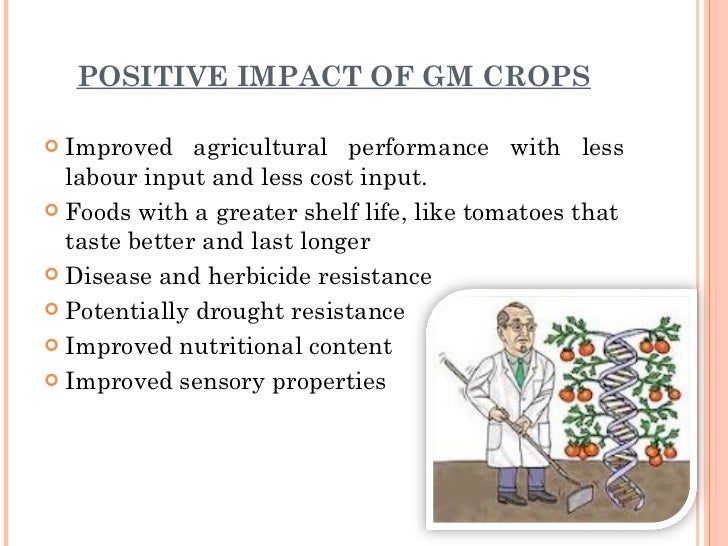 GENETICALLY MODIFIED FOODS genetically-modified-foods