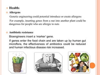    Health:
   Allergens
    Genetic engineering could potential introduce or create allergens
    For example, inserting genes from a nut into another plant could be
    dangerous for people who are allergic to nuts

   Antibiotic resistance
    Bioengineers insert a ‘marker’ gene.
    If genes enter the food chain and are taken up by human gut
    microflora, the effectiveness of antibiotics could be reduced
    and human infectious disease risk increased.
 
