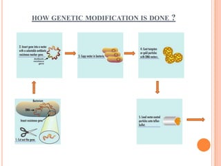 HOW GENETIC MODIFICATION IS DONE   ?
 