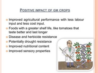 POSITIVE IMPACT OF GM CROPS

 Improved agricultural performance with less labour
  input and less cost input.
 Foods with a greater shelf life, like tomatoes that
  taste better and last longer
 Disease and herbicide resistance

 Potentially drought resistance

 Improved nutritional content

 Improved sensory properties
 