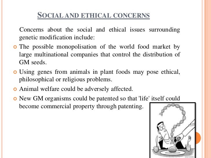 Human, Social, and Environmental Impacts of Human Genetic Engineering