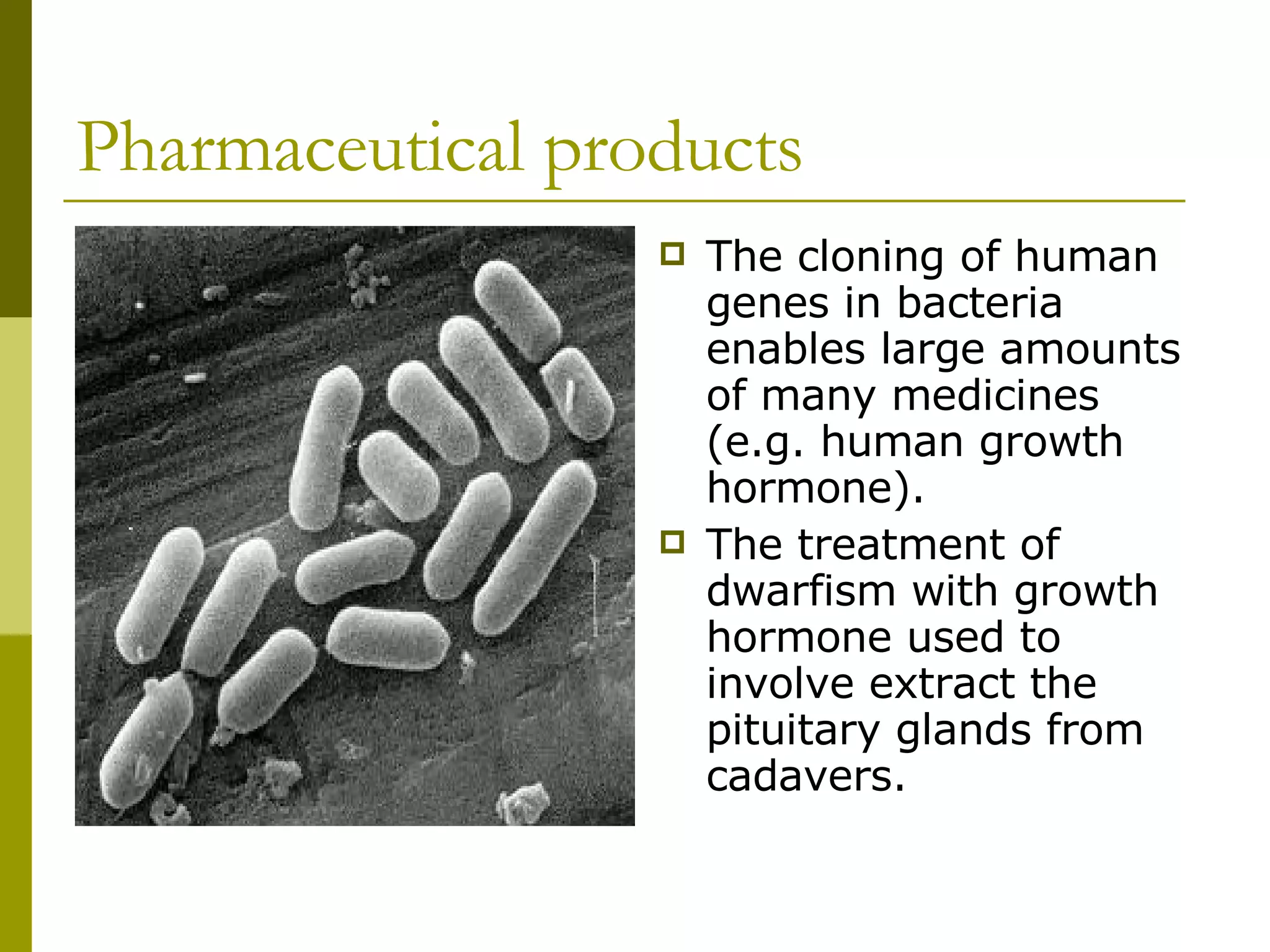 Pharmaceutical products The cloning of human genes in bacteria enables large amounts of many medicines (e.g. human growth hormone).  The treatment of dwarfism with growth hormone used to involve extract the pituitary glands from cadavers.  