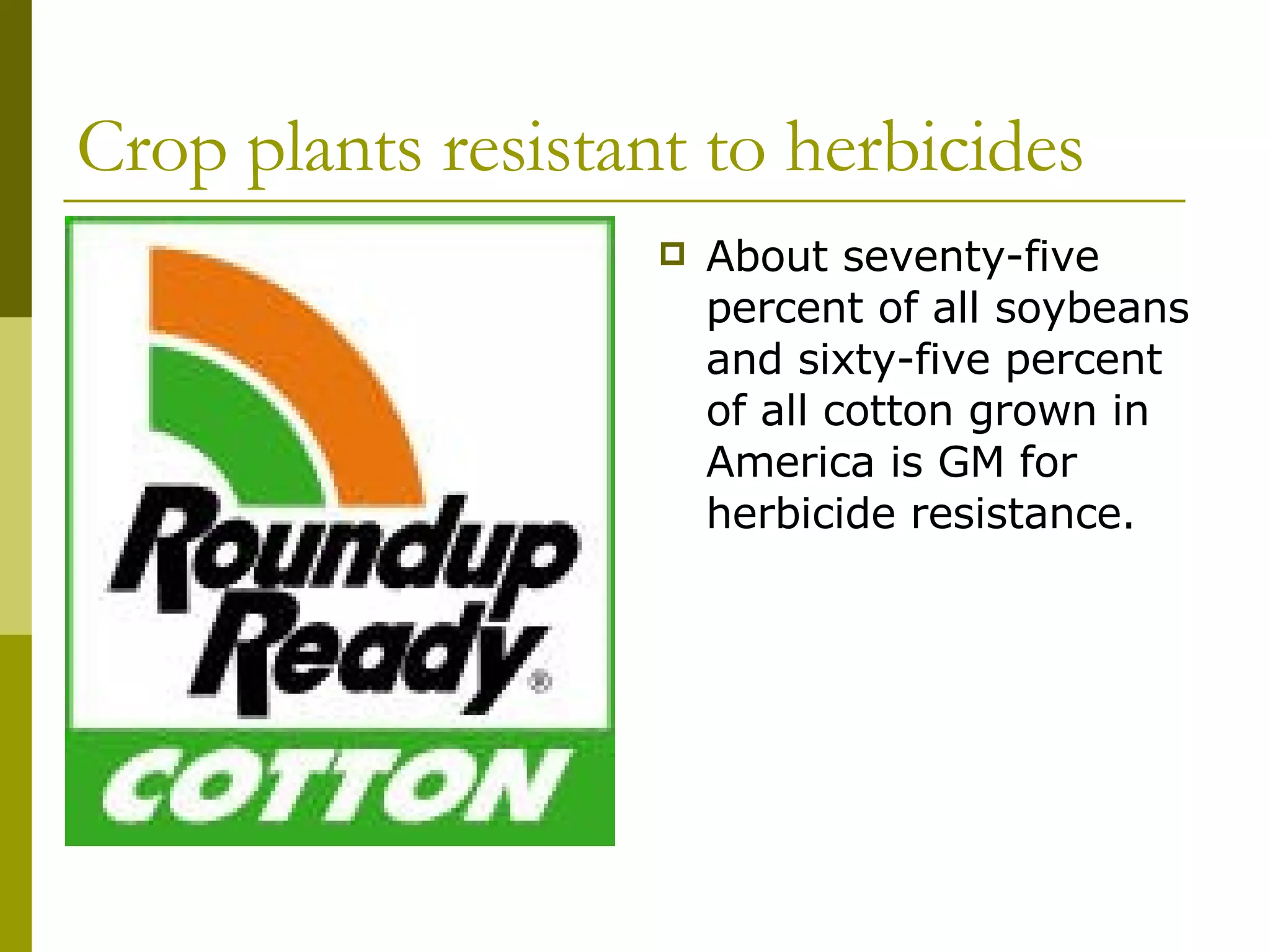 Crop plants resistant to herbicides About seventy-five percent of all soybeans and sixty-five percent of all cotton grown in America is GM for herbicide resistance. 