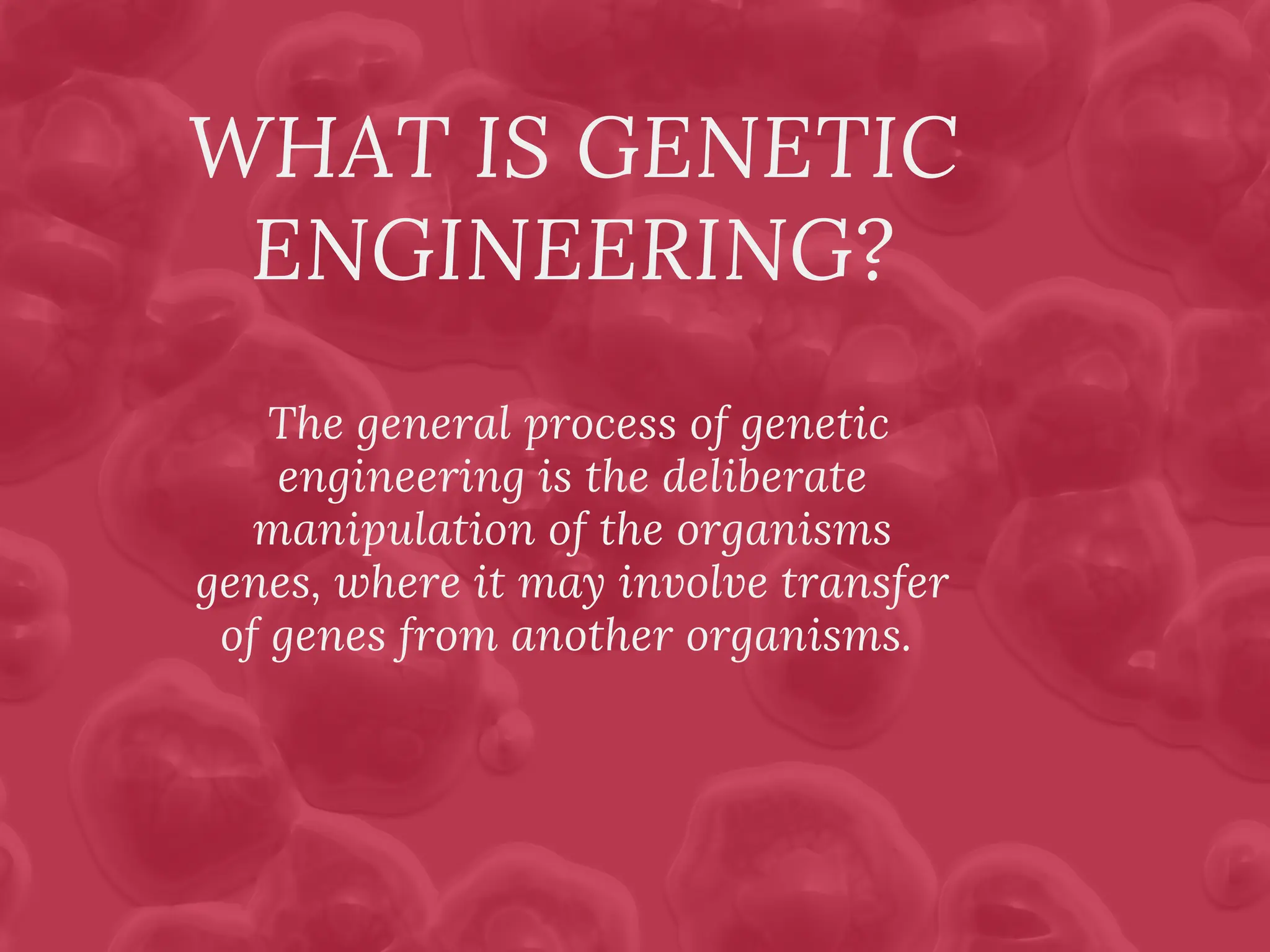 genetically-modified-organisms-gmo-s_20231027_132626_0000.pdf