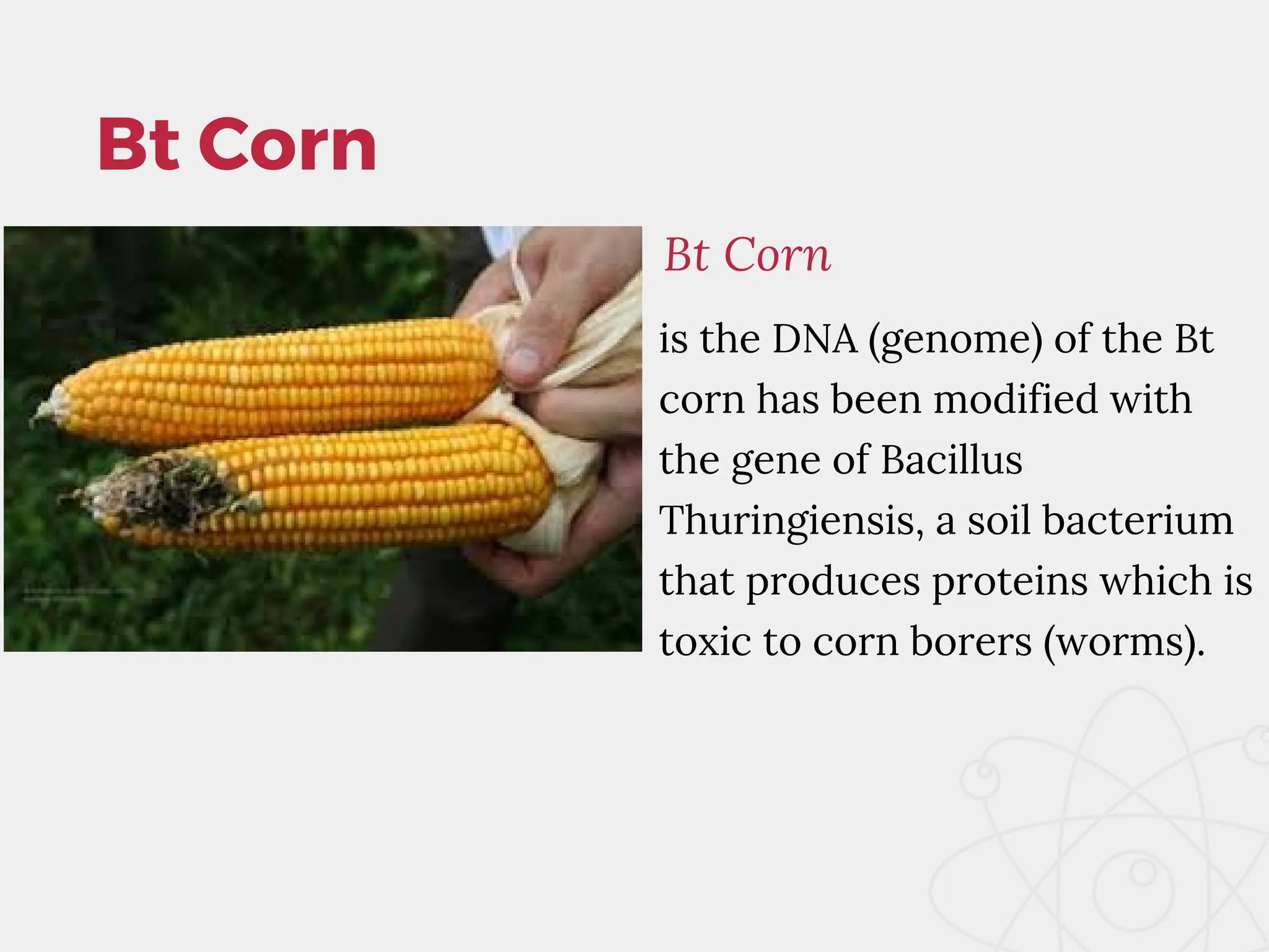 Gmo Examples genetically-modified-organisms-gmo-s_20231027_132626_0000.pdf
