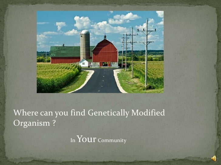 Green Party Genetically Modified Foods Green Party Genetically Modified Foods