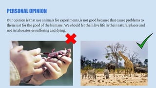 PERSONAL OPINION
Our opinion is that use animals for experiments,is not good because that cause problems to
them just for ...