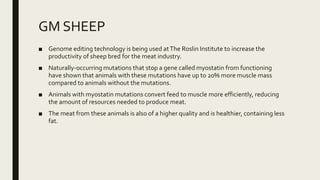 Genetically modified animals | PPT