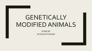 GENETICALLY
MODIFIED ANIMALS
DONE BY
MYESLIN PUSHAN
 