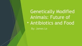 Genetically Modified
Animals: Future of
Antibiotics and Food
 