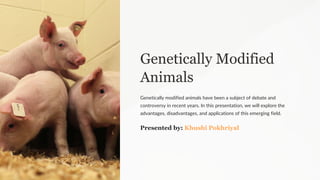 Genetically Modified
Animals
Genetically modified animals have been a subject of debate and
controversy in recent years. In this presentation, we will explore the
advantages, disadvantages, and applications of this emerging field.
Presented by: Khushi Pokhriyal
 
