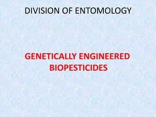 GENETICALLY ENGINEERED
BIOPESTICIDES
DIVISION OF ENTOMOLOGY
 