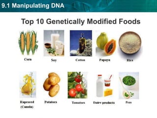 9.1 Manipulating DNA
 
